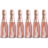 Bottega Rosé Vino Spumate Rosato Brut Millesimato in bottiglia colore rosa oro da 20 cl