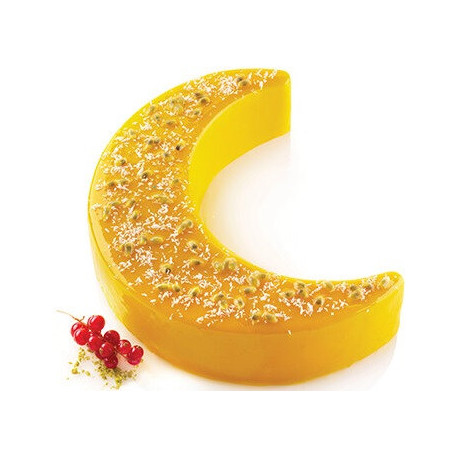 Moonlight Sonata 1000 Silikomart: serenata al chiaro di luna stampo silicone 23x17,8 h 5,3 cm