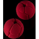 Atome 120 Silikomart atomo 3D stampo in silicone sfera ø63 h 55 mm