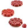 Stampo Paradis 37 Silikomart stampo in silicone bianco per 6 forme Paradis da 7 cm