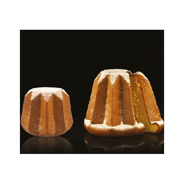 1/2 o 1 Kg Verona Silikomart stampo pandoro antiaderente in T-plus X