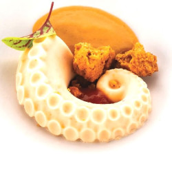 Polpo 20 Silikomart stampo silicone giallo 12 preparazioni tentacoli di polpo, linea Naturae