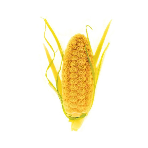 Pannocchia 20 Silikomart stampo silicone giallo 12 preparazioni pannocchie, linea Naturae