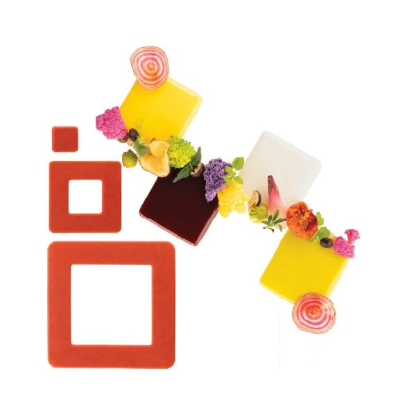 3.0 o 4.0 Quadrato Silikomart stampo silicone giallo 8 preparazioni quadrate, linea Naturae