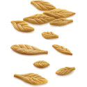 Voila' Cookie Leaves Silikomart: tagliapasta e stampo in T-Plus+ a forma di foglie da 24x15xh2 cm