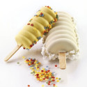 Stampo Gelato Spirale Tango Silikomart GEL04 – 16 Mini o 12 Mono con Vassoio