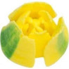 Bocchetta 3D n 244 Cornetto Tulipano a 6 petali per fiori 3D diretti in acciaio inox da Decora