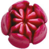 Bocchetta diretta 3D n 241 Cornetto Tulipano per fiori 3D diretti in acciaio inox da Decora