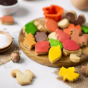 6 Mini Taglia-biscotti foglie autunnali miste in plastica da Decora