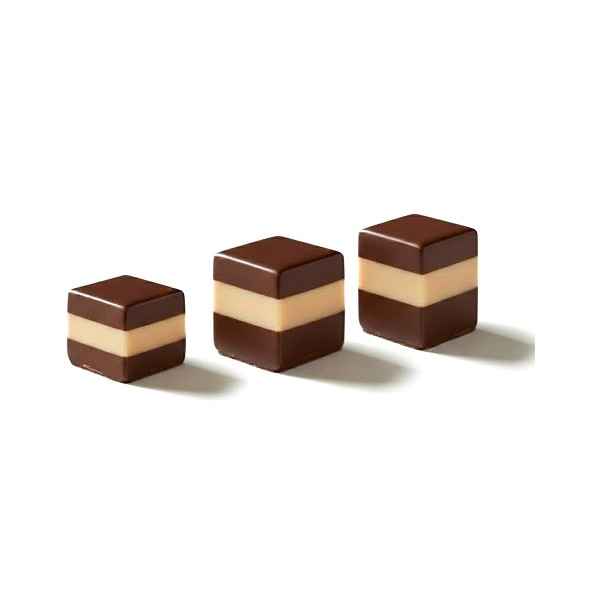 Stampi Cioccolato Cremino in Policarbonato Professionale – Formati 7g, 9g e 10g