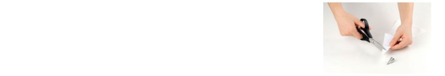 Sac à Poche e Beccucci Professionali | Decorazione Torte